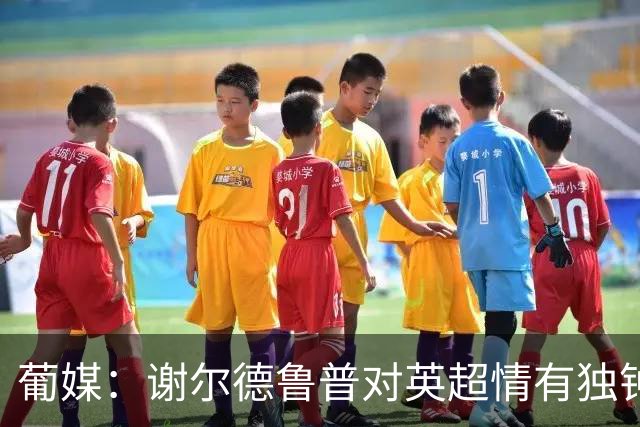 葡媒：谢尔德鲁普对英超情有独钟，俱乐部标价至少4000万欧